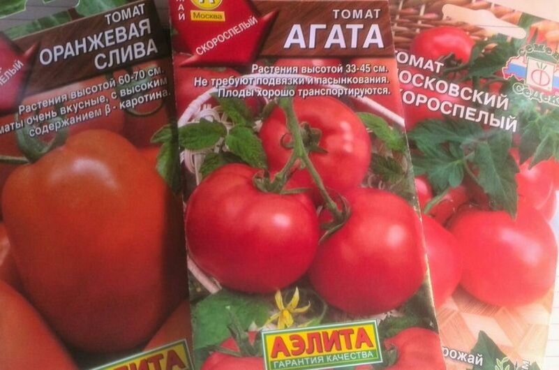 Сорта томатов для выращивания дома.