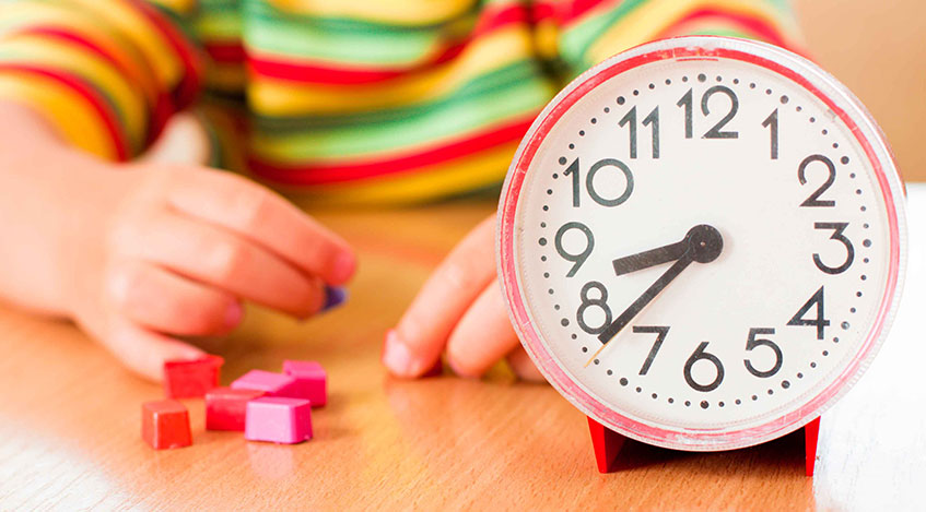 Распорядок дня