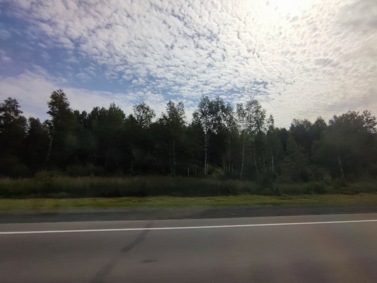 Типичный сибирский пейзаж