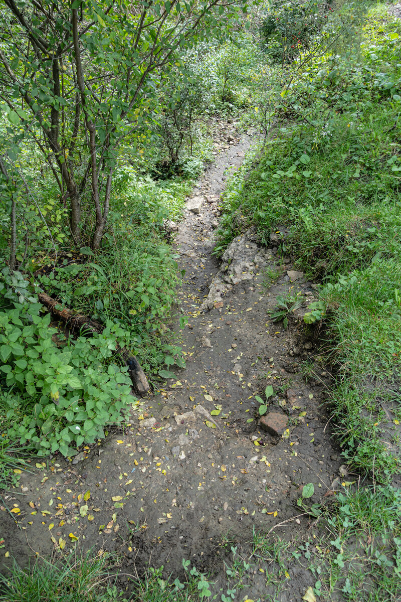 1. Верхняя часть тропы от автодороги до подножия Лермонтовской скалы, пересекающая лиственный лес. Первые метры тропы очень слабо заметны среди травы, однако почти сразу, как мы здесь видим, тропа становится достаточно широкой и очень хорошо читаемой. Нужно только внимательно смотреть под ноги и не запнуться за торчащие из земли камни.