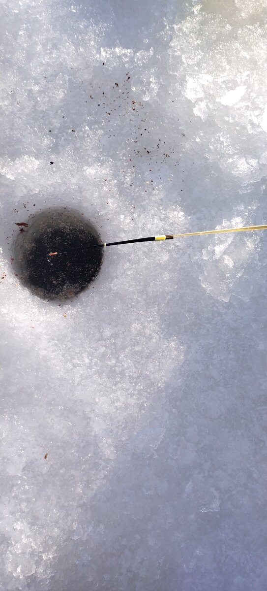 Закормленная лунка.