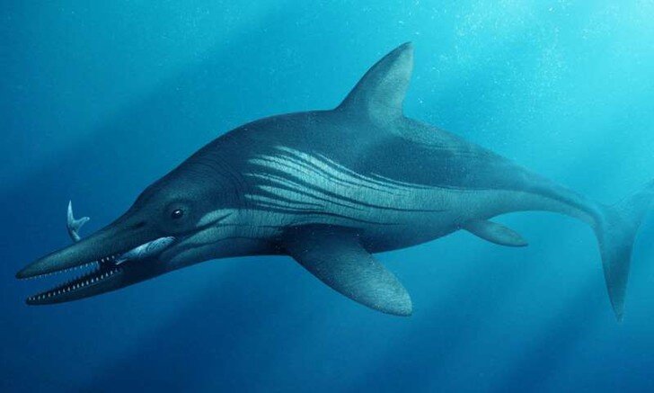 Гугл говорит, что это протоихтиозавр