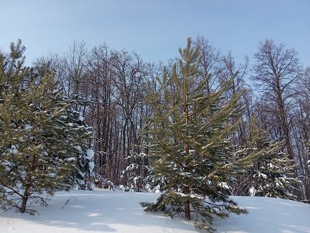 Фотография из личного архива автора