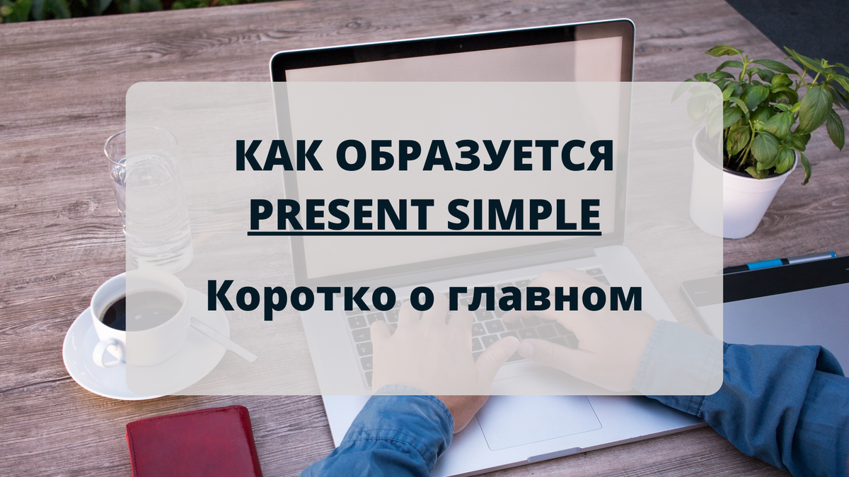 Present Simple в английском языке | Погружение - изучение английского языка  | Дзен