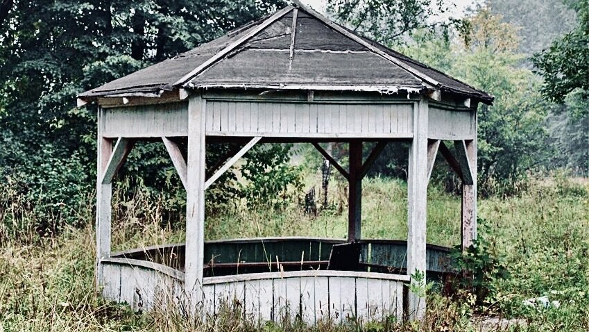 Яндекс Картинки