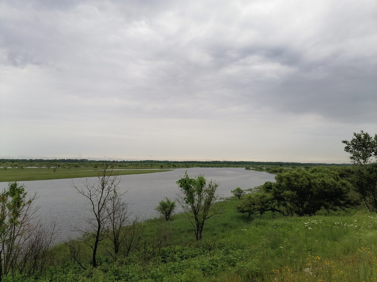 Протока Ольгохта реки Урми. Места по левому берегу на столько низкие, что затопляются на десятки километров. На гольдском (нанайском) языке "оль" (или ольп) это особо пушистый соболь, а "гохт" - крючок. Таким образом "ольгохта" это место, где находились вешала для сушки свежевыделанных шкурок соболей.