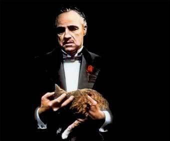 Источник фотографии: https://lenta.ru/articles/2004/07/04/brando/