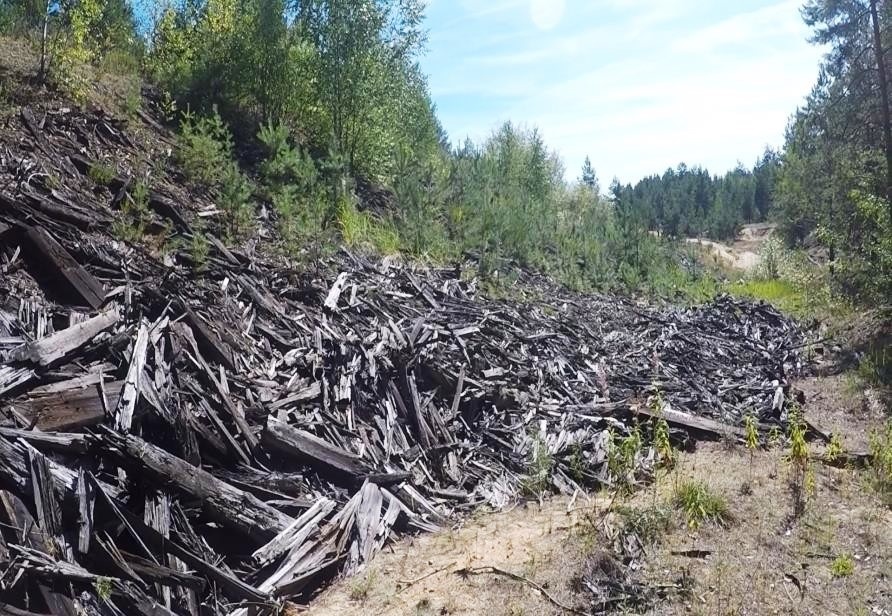    Нарушения в Нижегородской и Владимирской областях должны устранить Мария Материкова