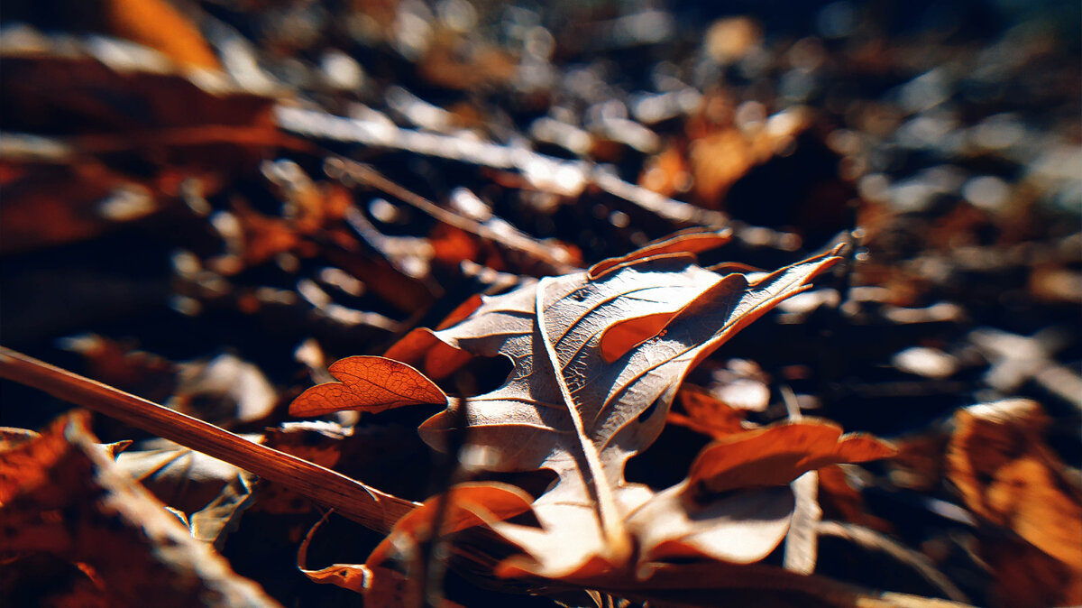 Осень это когда так...