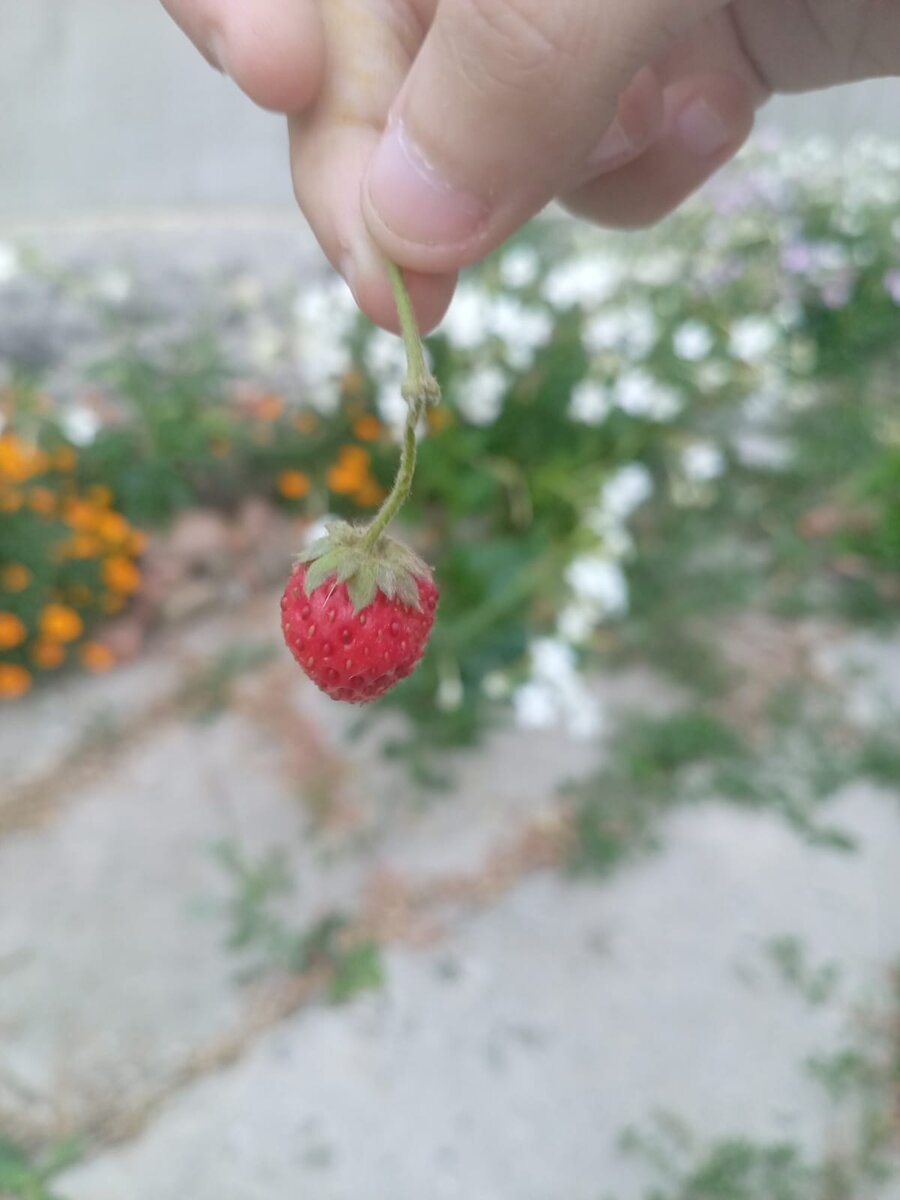 Личное фото автора. 