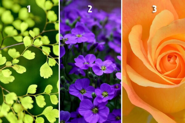 Источник фото: https://aut-aut.ru/psiholog/polozhitelnye-testy.html