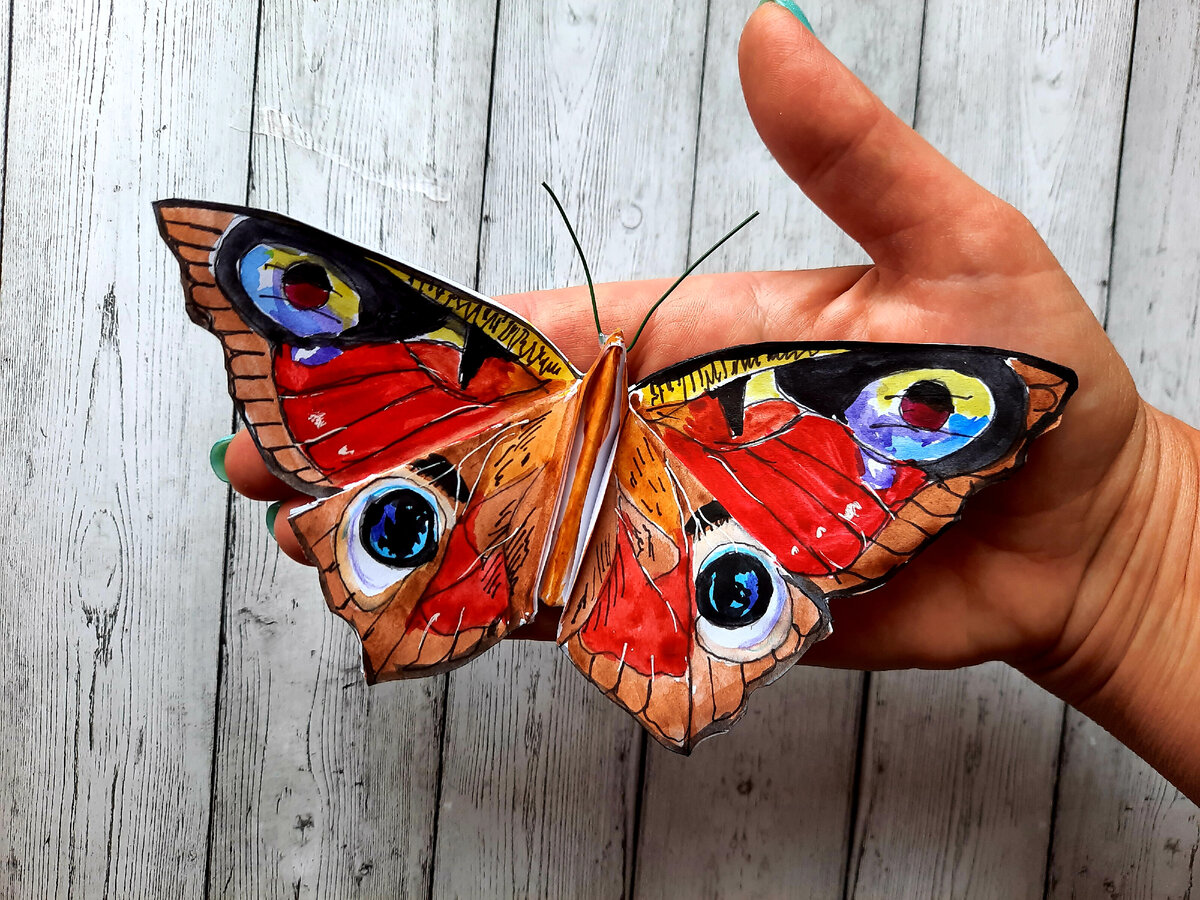 Выставка гигантских бабочек. Выставка гигантских бабочек. Баттерфляриум московский дом бабочек. Выставка гигантских бабочек. Выставка гигантских бабочек.