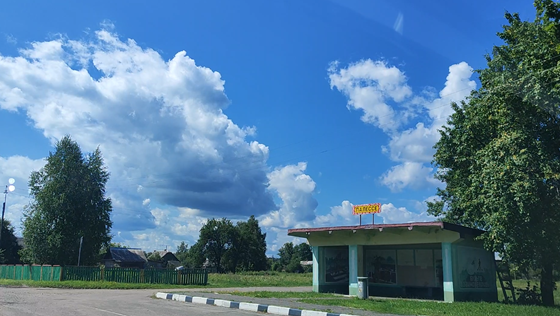 Все фотографии для статьи делала сама