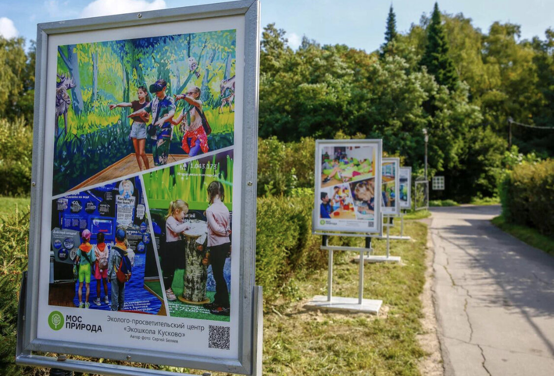 Бирюлевский дендропарк пикник