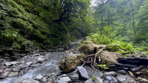 Звуки природы. Ручей в горах Сочи