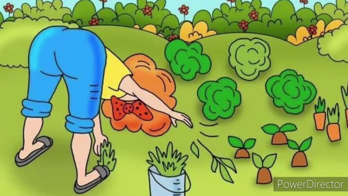 Картинка из открытых источников