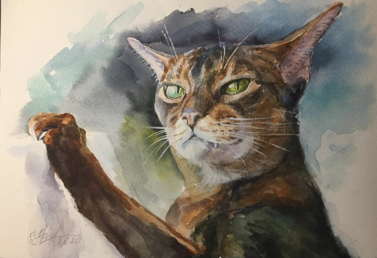 Рисунок из открытых источников