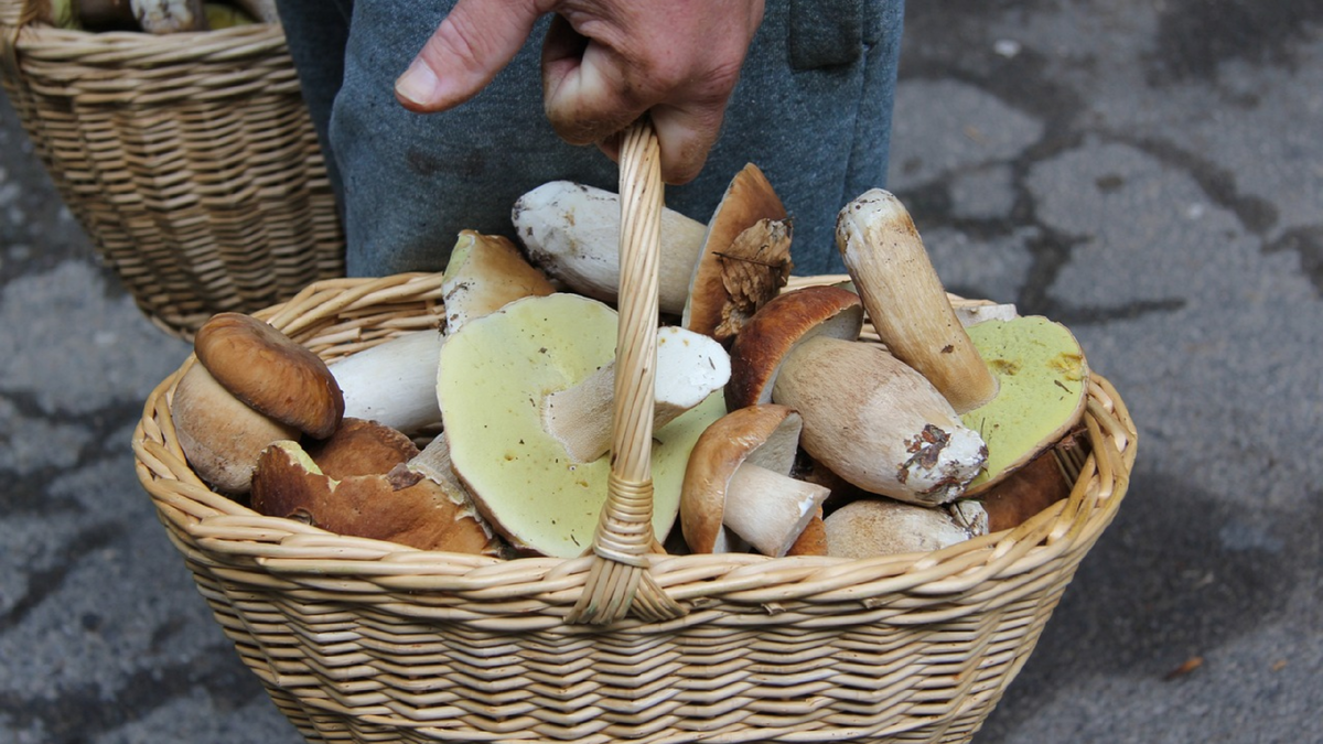 Неплохой "улов" выходных дней! Важно, чтобы в корзине не оказались преступные элементы "массового поражения"
