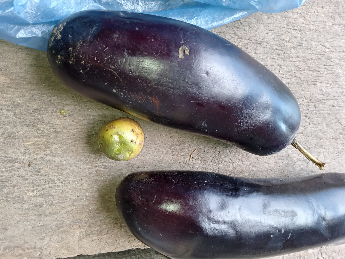 И там, и там- соланин!