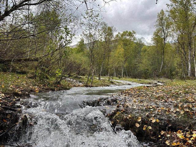Фото: прокуратура КЧР 
