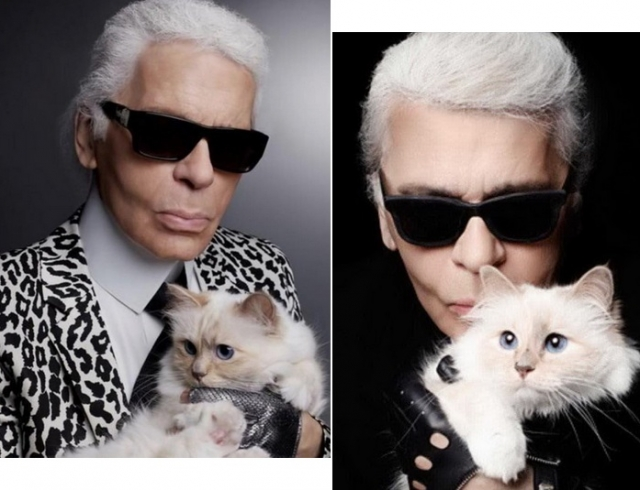 фото из интернета