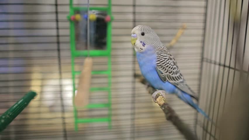 Источник фото: shutterstock.com