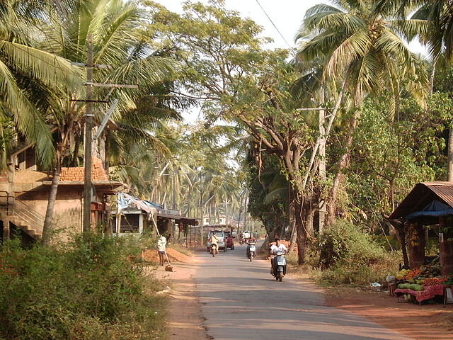 Типичная поселковая дорога Индии фото https://upload.wikimedia.org