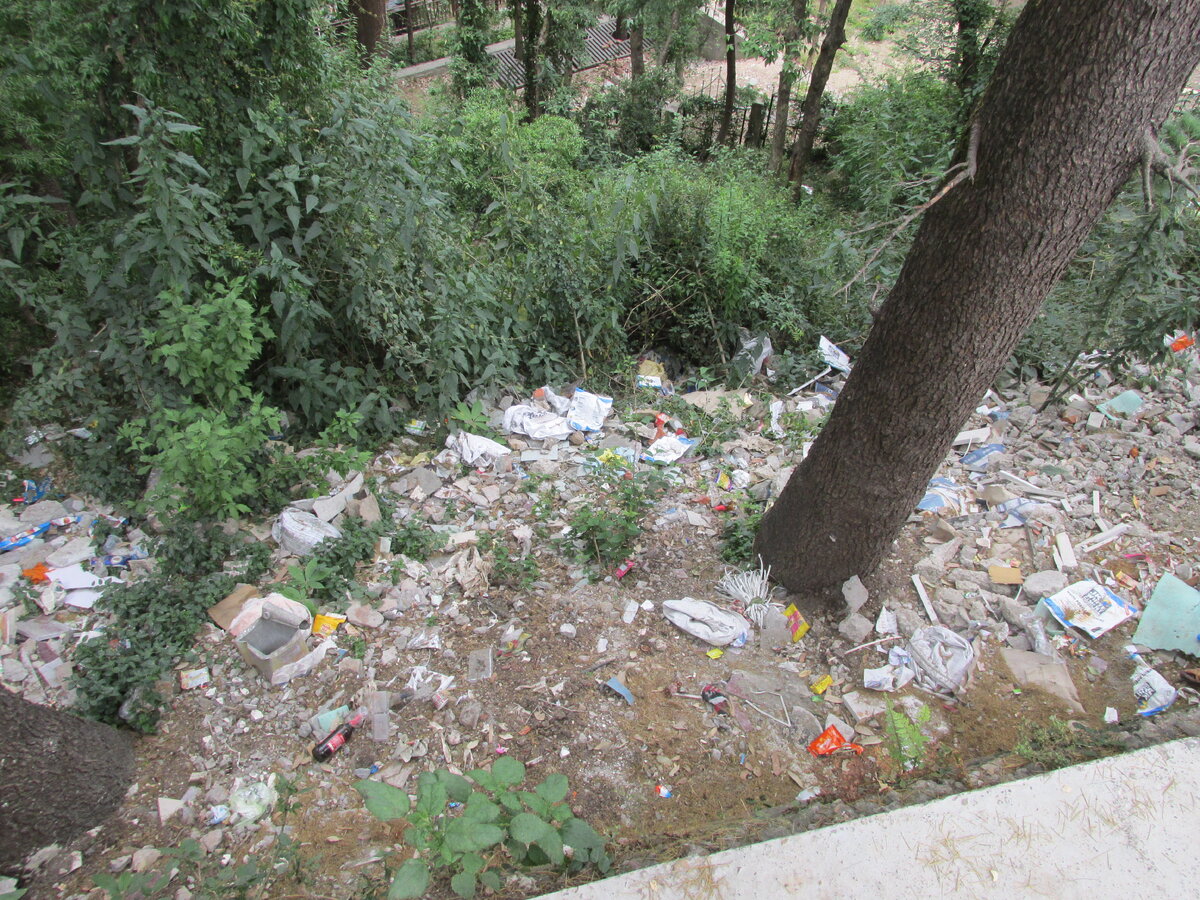 Одним Индия категорически не нравится и   есть за что.         
 Это мусор, на который никто не обращает  внимания.  В мусоре роются священные коровы и обезьяны. Гудки машин-взрывающие мозг. Сигналят все и всегда! Вода из крана, которую нельзя пить и  чистить зубы. Брюшной тиф и желтая лихорадка с гепатитом тут живут рядом, а не на страницах специальной литературы. Много нищих, часто спящих на улицах и маленьких детей, тянущих к вам руки за подаянием. 