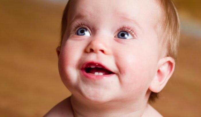 Источник: ozubkah.ru