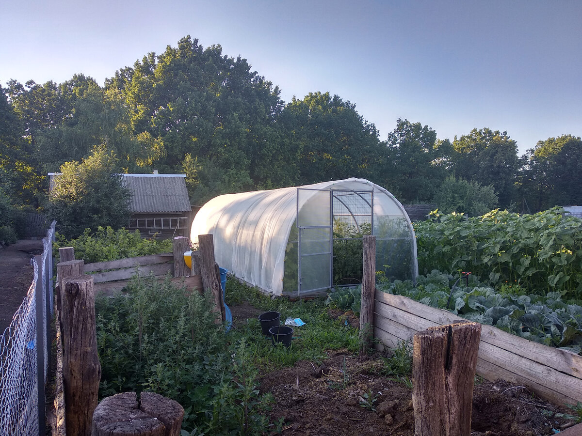 Мой участок