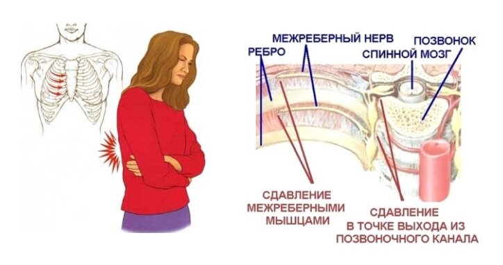 фото с сервиса Яндекс картинки