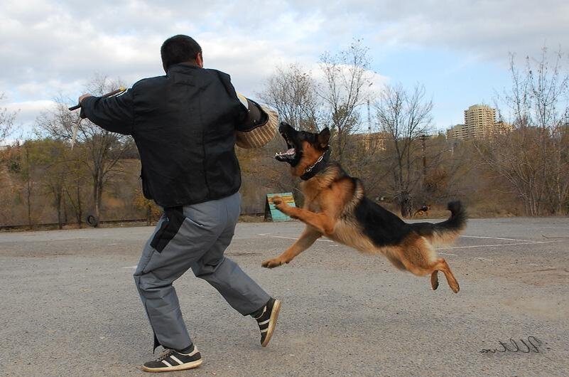 Взято из интернета