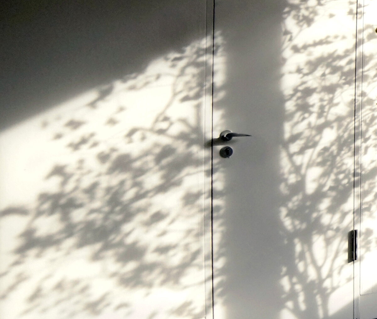 Фото из открытых источников. Яндекс.Картинки.