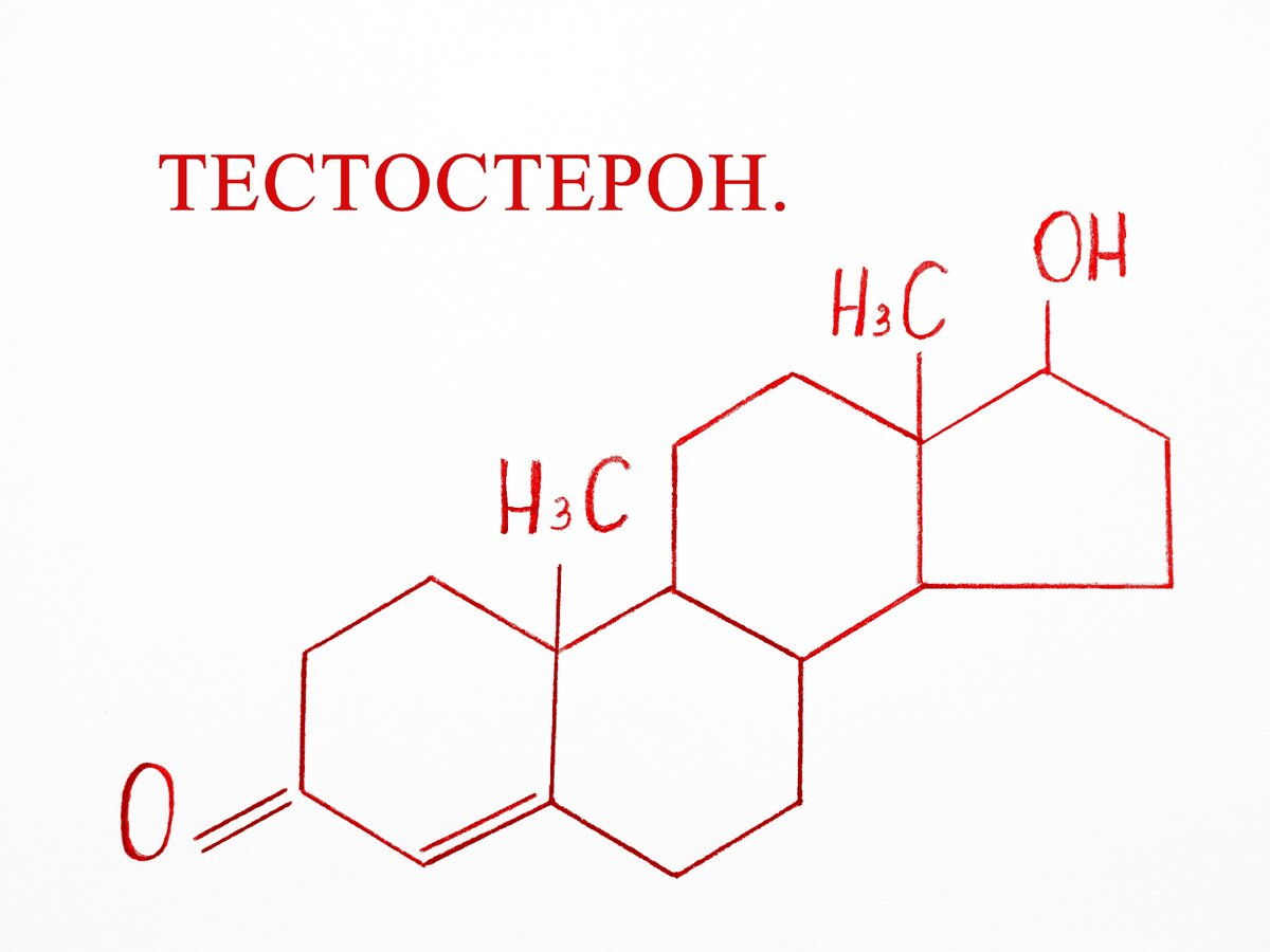 Тестостерон - главный мужской гормон. Фитнес для мужчин после 45.