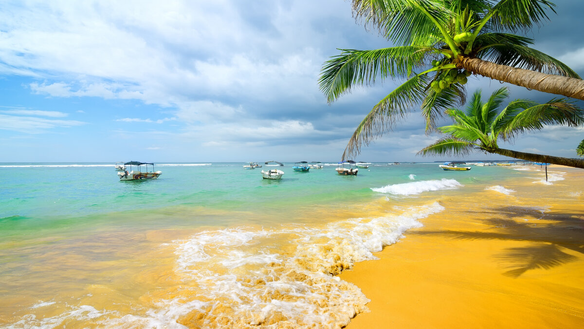 из интернета