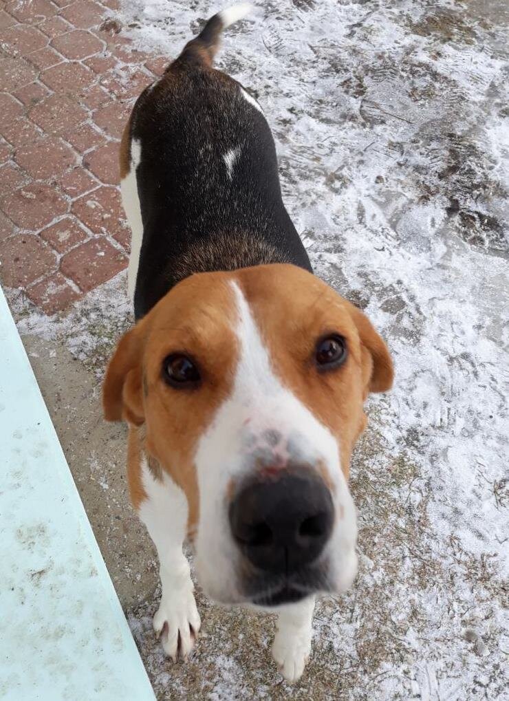 Наш найденыш