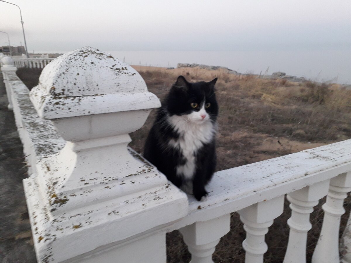 Фото автора истории. 