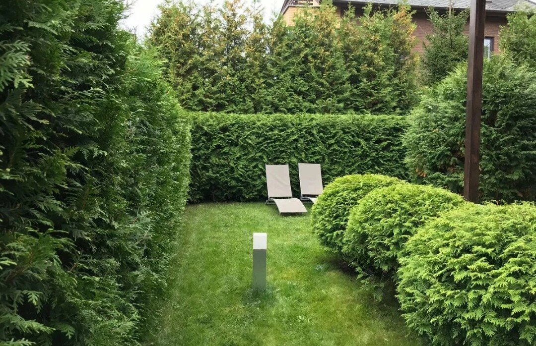 Без цветников