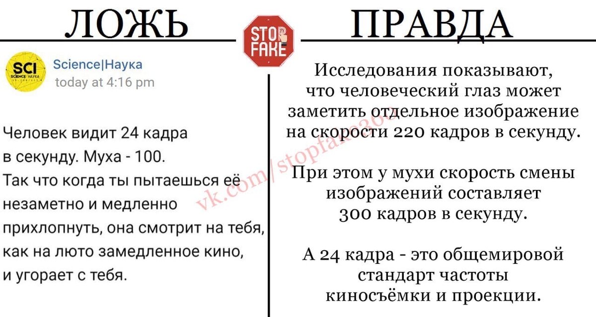 Сколько весит изображение глаза