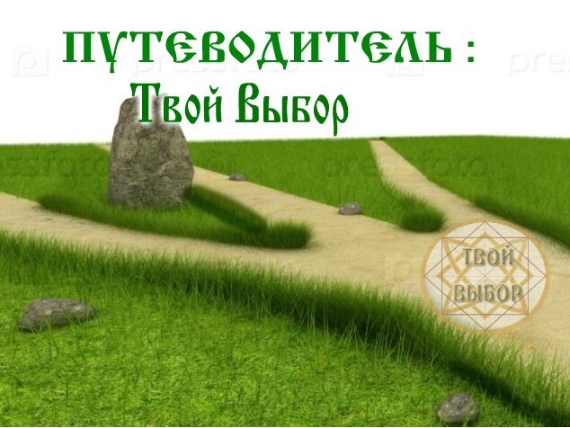 Проект твой путь твой выбор