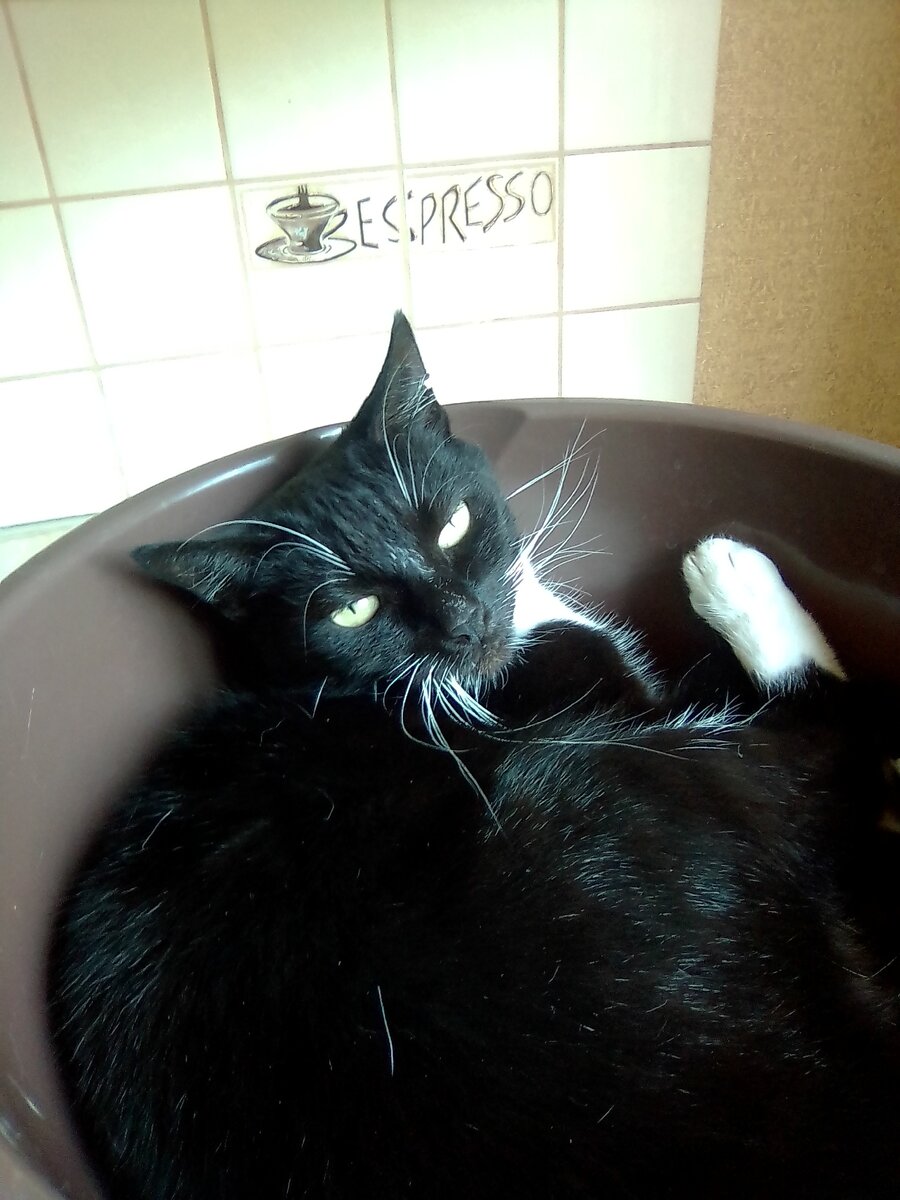 Фото от автора.