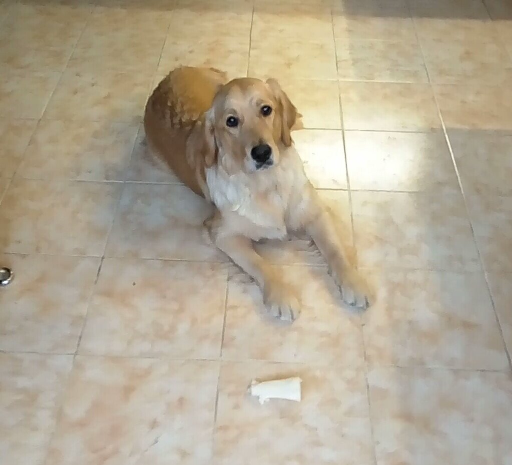 Ляля и косточка