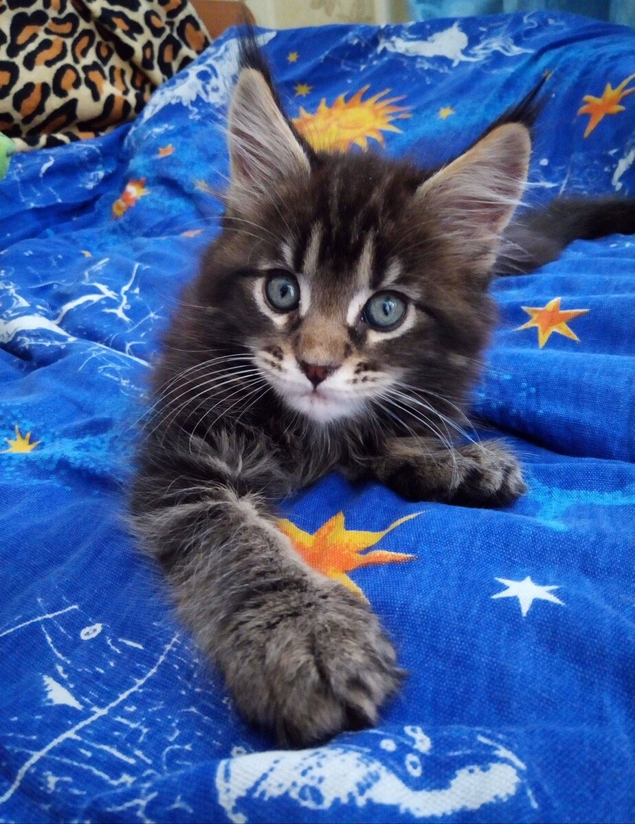 Фото автора