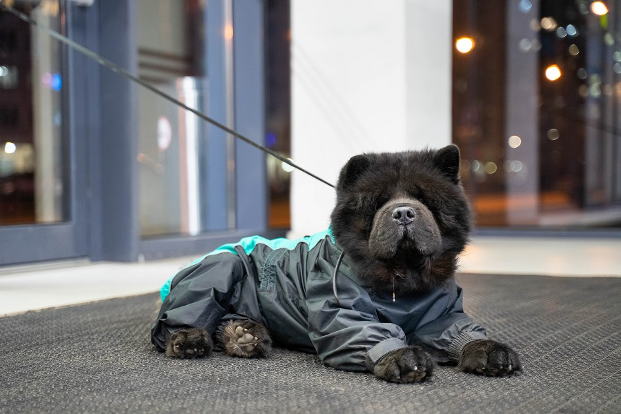 Фото: Александр Плонский/"ВиЖ"