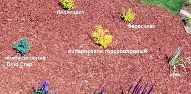 задний план