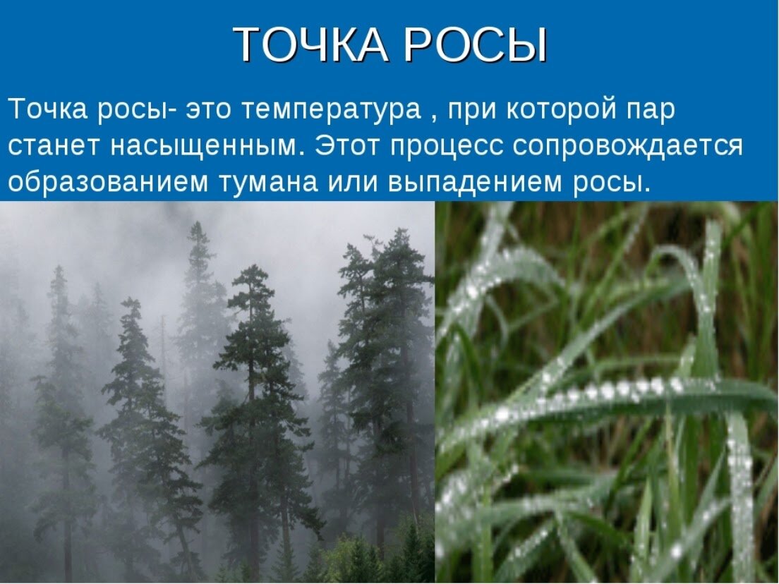 Точка росы. Что это и для чего? | Записки Старого Строителя | Дзен