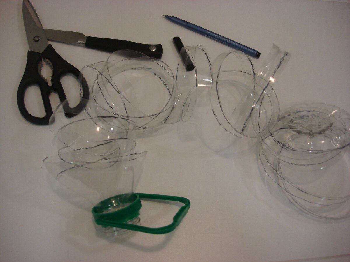 Фото сделано автором (вырезала)