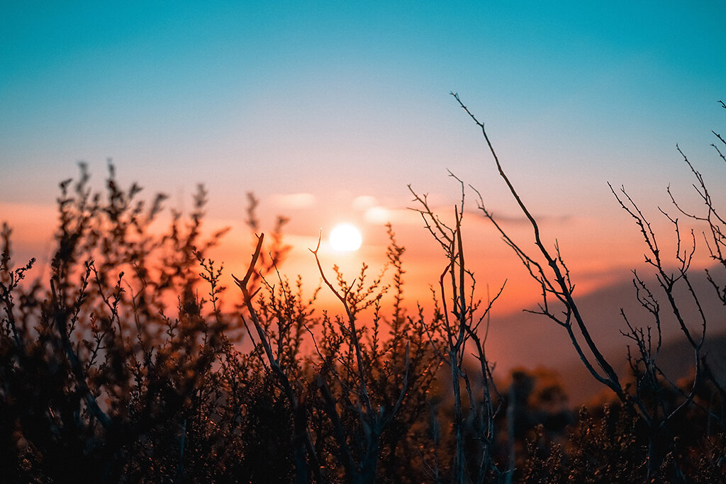 @ocvisual