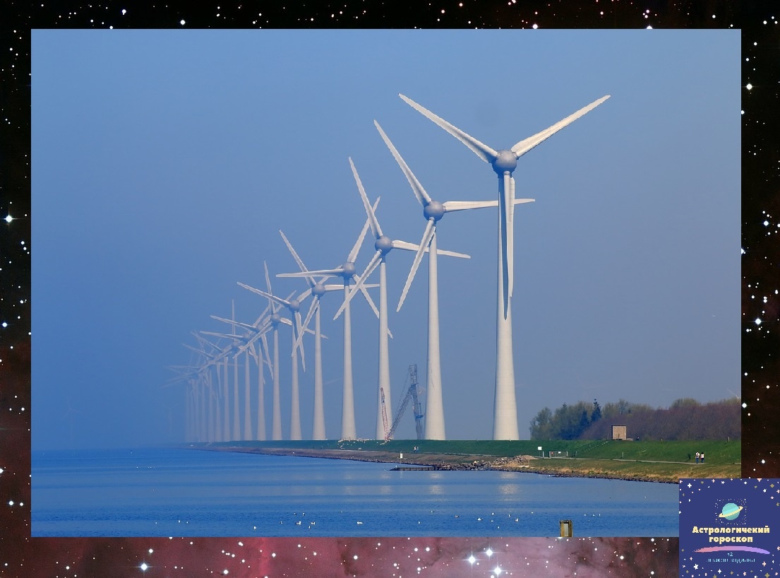 Фото взято из открытых источников