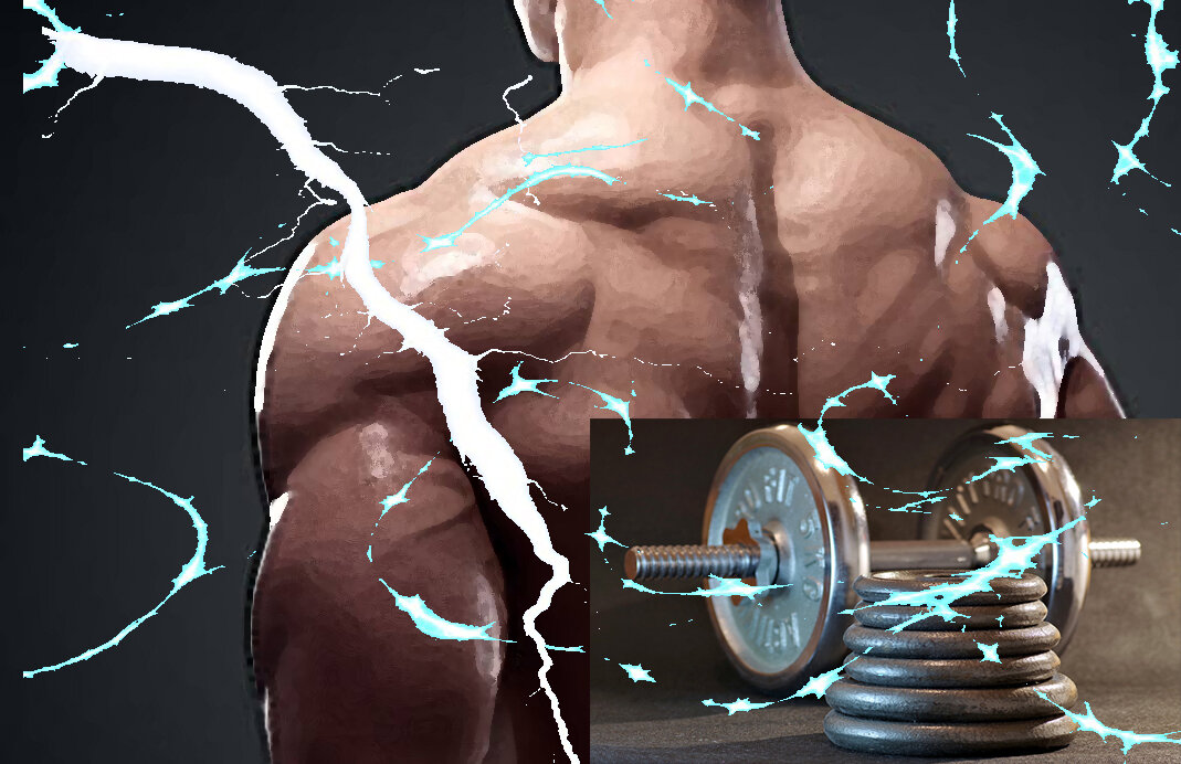 Источник: httpspixabay.com